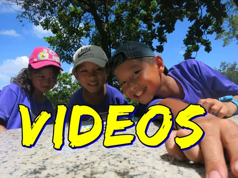 Videos on YouTube